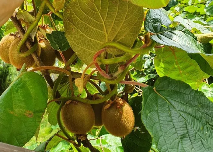 Umago Inn 아파트 *