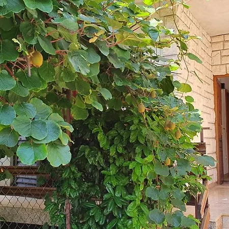 Umago Inn Appartement *